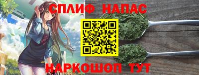 Альфа ПВП Тверь