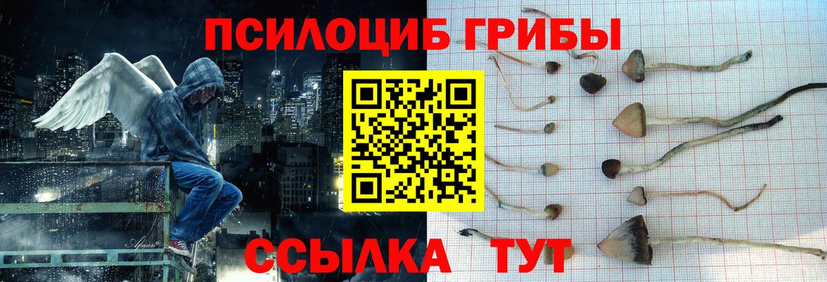 Псилоцибиновые грибы мицелий  Вход с VPN  Белореченск 